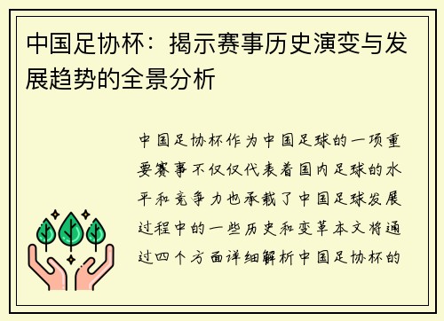 中国足协杯：揭示赛事历史演变与发展趋势的全景分析