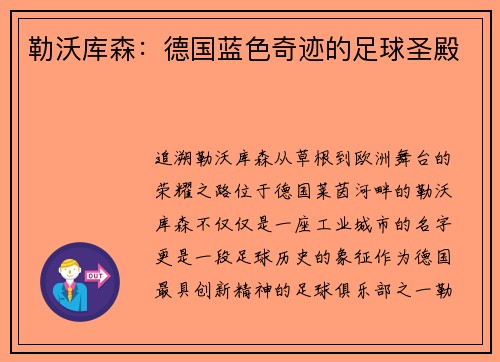 勒沃库森：德国蓝色奇迹的足球圣殿