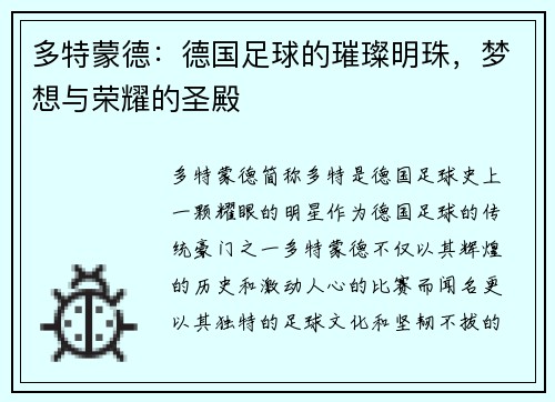 多特蒙德：德国足球的璀璨明珠，梦想与荣耀的圣殿