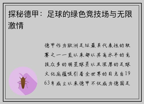 探秘德甲：足球的绿色竞技场与无限激情